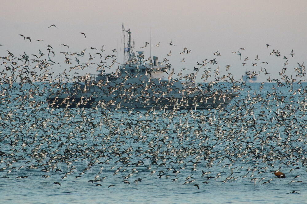 Brod ruske mornarice kod luke u Sevastoplju na Krimu, Foto: Rojters