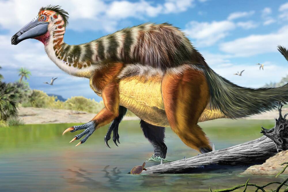 <p>Knjigu završavamo kratkom istorijom bicikala, Olimpijskim sportovima ali i nekim od najluđih modnih trendova.</p>