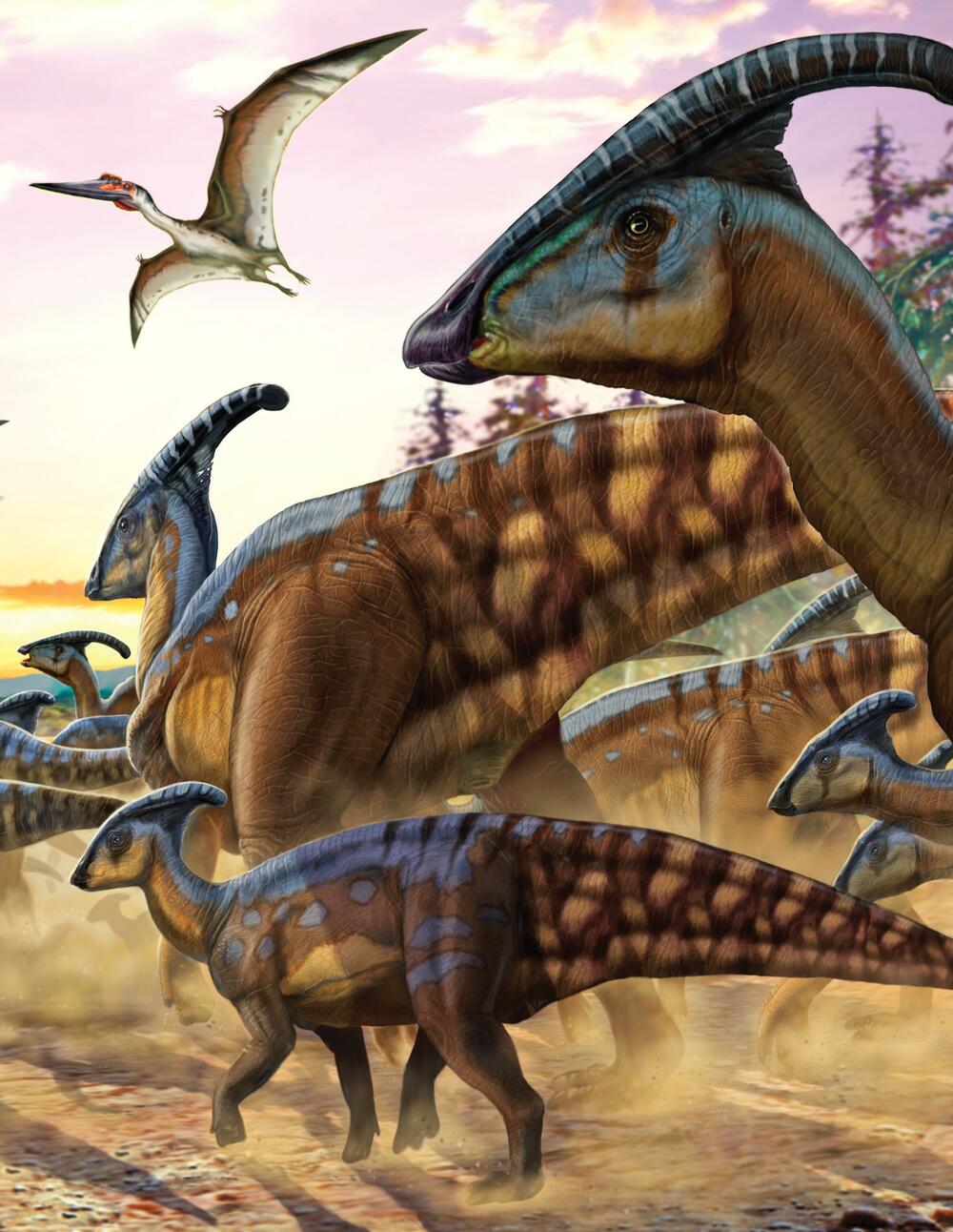 <p>Knjigu završavamo kratkom istorijom bicikala, Olimpijskim sportovima ali i nekim od najluđih modnih trendova.</p>