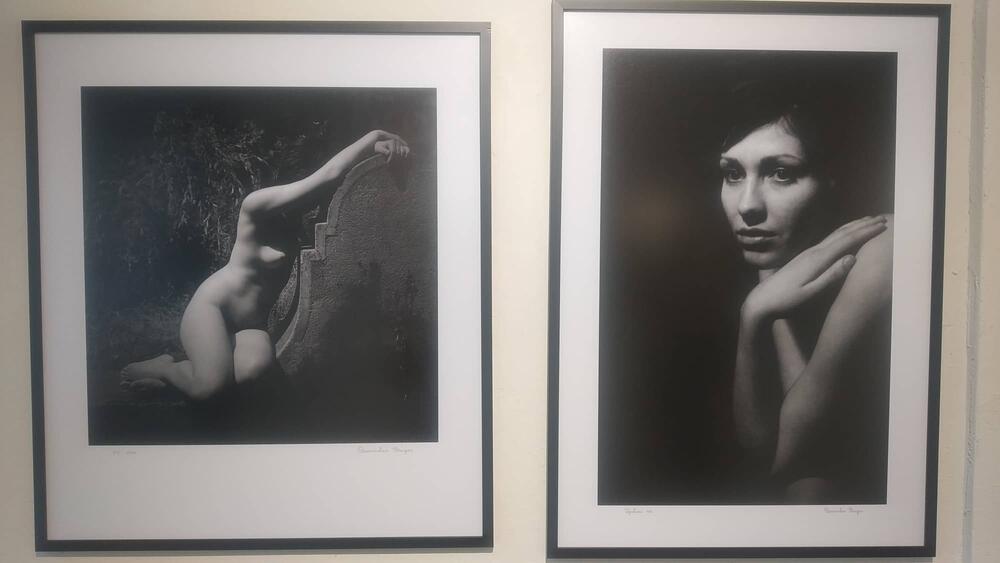 <p>Više od 50 godina duge karijere stalo je u oko 40 fotografija nastalih tokom prethodnih decenija, a mogu se pogledati do 13. jula u galeriji “F 64” u Podgorici</p>