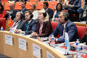 Đurović: Ekonomski razvoj zavisiće od konkurentnosti regiona...