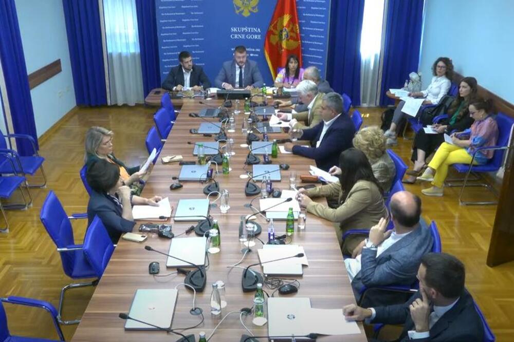 Sa sjednice Odbora, Foto: Screenshot/Youtube