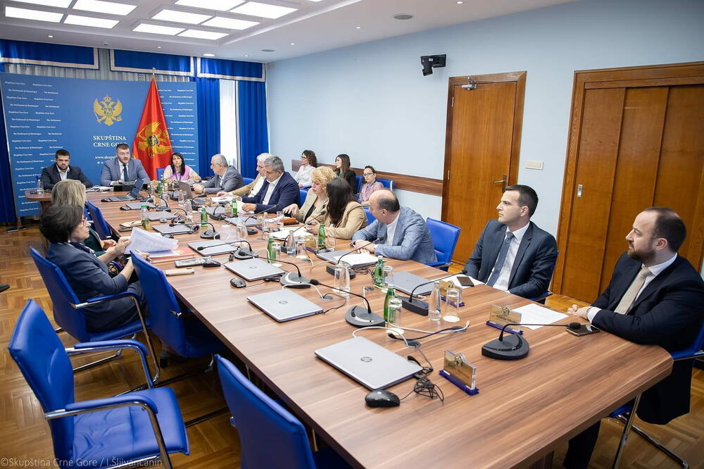 Sa skupštinskog Odbora juče, Foto: skupstina.me