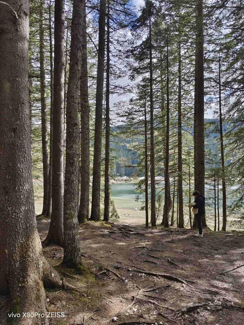 <p>X80 Pro je dostupan u Cosmic Black boji, koja predstavlja prostrano noćno neba, kao i živopisnu i beskrajnu moć univerzuma.</p>