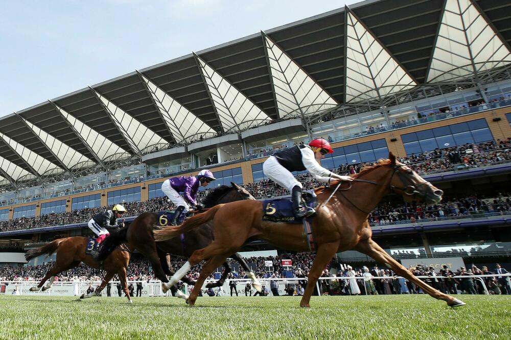 Sa trke na Rojal Eskotu, Foto: Reuters