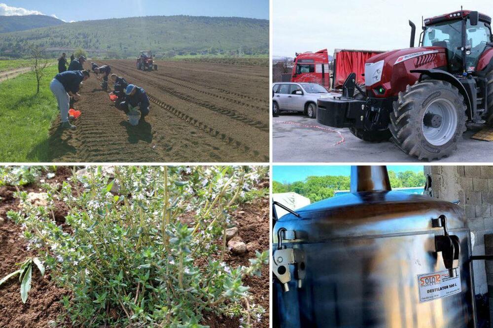 Foto: Rudnik uglja Pljevlja