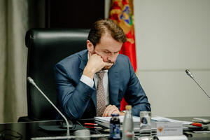 Konjević: I u narednih 35 do 40 dana će postojati mogućnost...