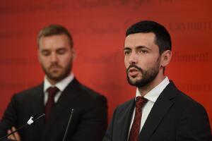 Živković: DF leaders know who obstructed them in the process...