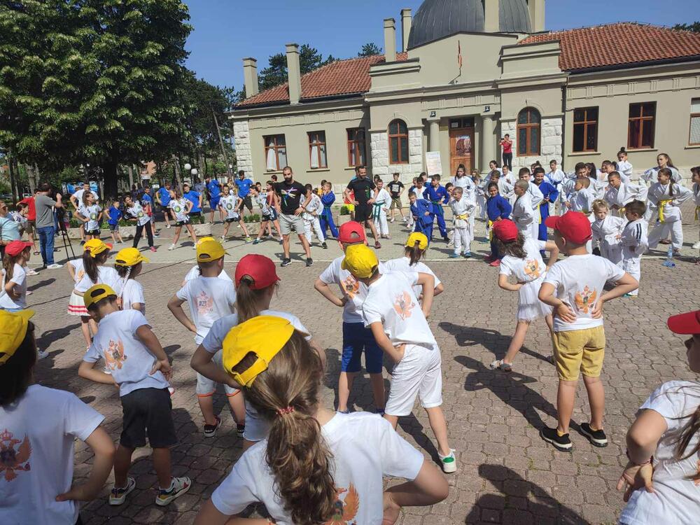 <p>"Nadam se da su među vama i oni koji će u budućnosti afirmisati ne samo naš grad, nego i Crnu Goru. Ovo je manifestacija koja na pravi način mladim sportistima prenosi univerzalna olimpijska načela - izvrsnost, prijateljstvo i poštovanje", kazala je Petrović Njegoš</p>