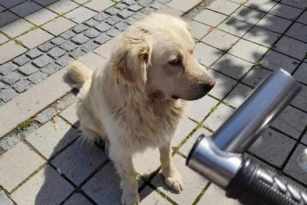 Foto: Privatna arhiva