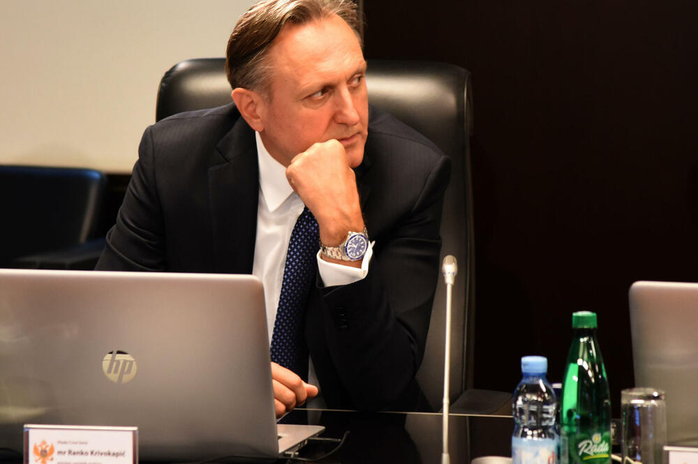 Ispunjavamo obaveze zbog nas, a ne zbog EU: Krivokapić, Foto: Luka Zekovic