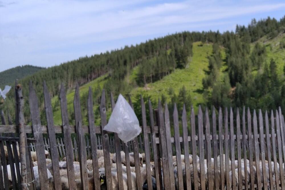 Foto: Privatna arhiva