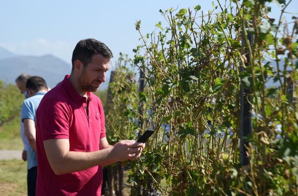 <p>Državni sekretar Budimir Mugoša je rekao da bi bilo pitanje i da li bi za sanaciju štete bio dovoljan i cijeli agrobudžet Ministarstva, zbog čega bi bilo potrebno da Vlada odobri dodatni novac</p>