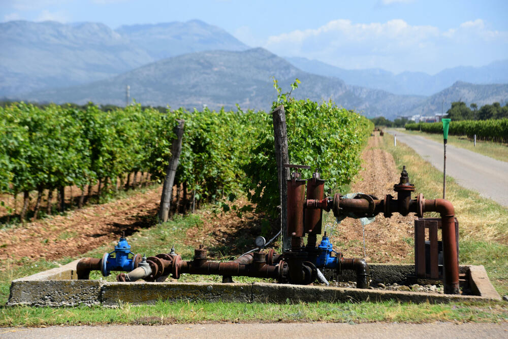 <p>Državni sekretar Budimir Mugoša je rekao da bi bilo pitanje i da li bi za sanaciju štete bio dovoljan i cijeli agrobudžet Ministarstva, zbog čega bi bilo potrebno da Vlada odobri dodatni novac</p>