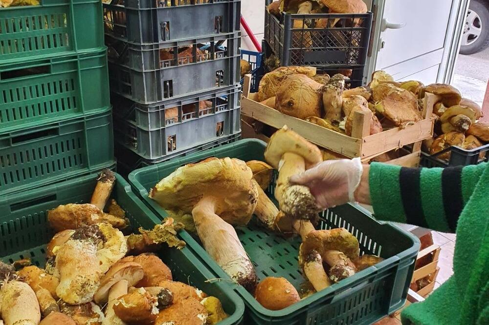 Otkup obezbijeđen, Foto: Miomir Vujanović