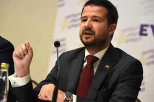 Milatović: Šarlatani iz Vlade i parlamentarne većine svjesno...