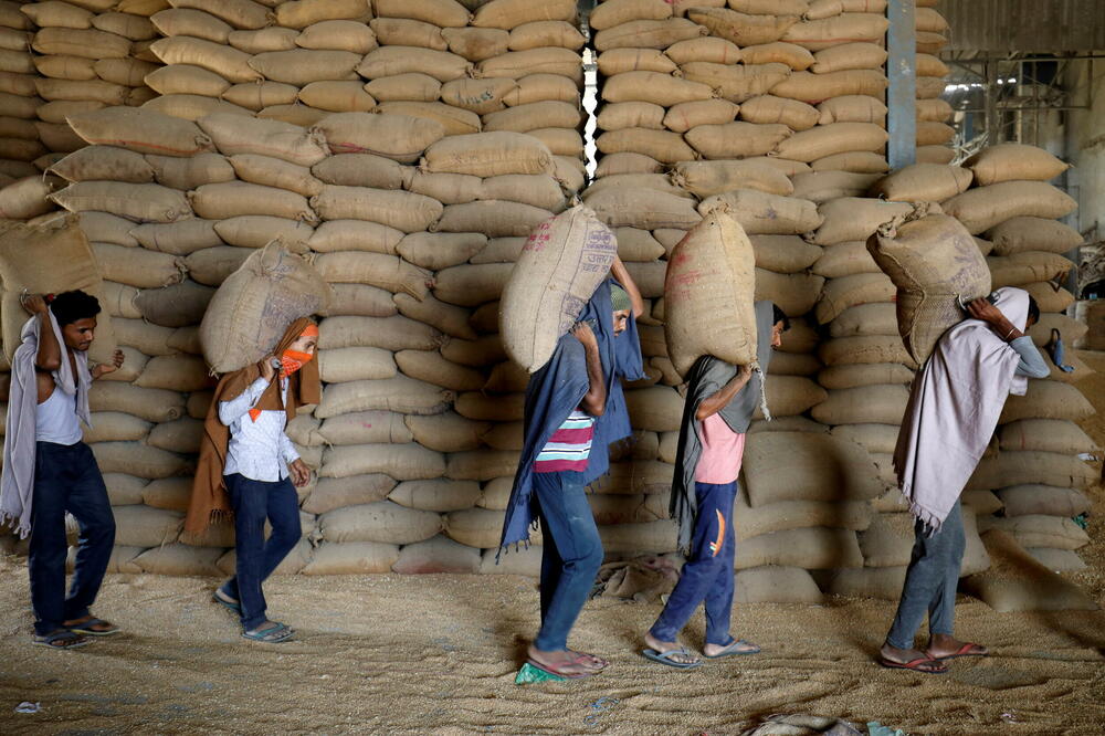 Indija je 13. maja ograničila izvoz pšenice, Foto: Rojters