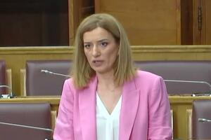 Marović: Ne očekujem da će Hrvatska biti kočničar evropske...