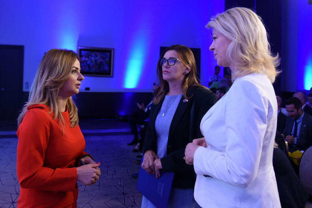 <p>Predsjednica Skupštine kazala da se do kraja proljećnjeg zasijedanja može očekivati da Parlament vjerovatno "isporuči određene rezultate", kada je u pitanju izbor članova Sudskog savjeta i drugih imenovanja</p>