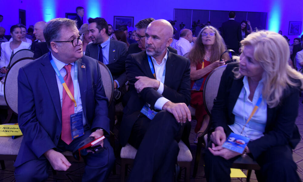 <p>Predsjednica Skupštine kazala da se do kraja proljećnjeg zasijedanja može očekivati da Parlament vjerovatno "isporuči određene rezultate", kada je u pitanju izbor članova Sudskog savjeta i drugih imenovanja</p>