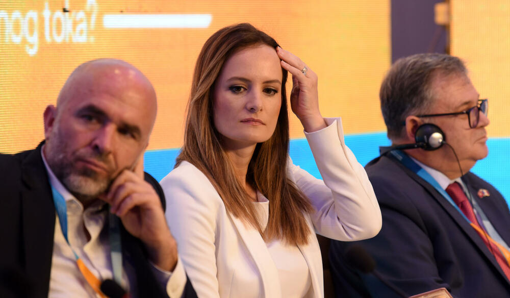 <p>Predsjednica Skupštine kazala da se do kraja proljećnjeg zasijedanja može očekivati da Parlament vjerovatno "isporuči određene rezultate", kada je u pitanju izbor članova Sudskog savjeta i drugih imenovanja</p>