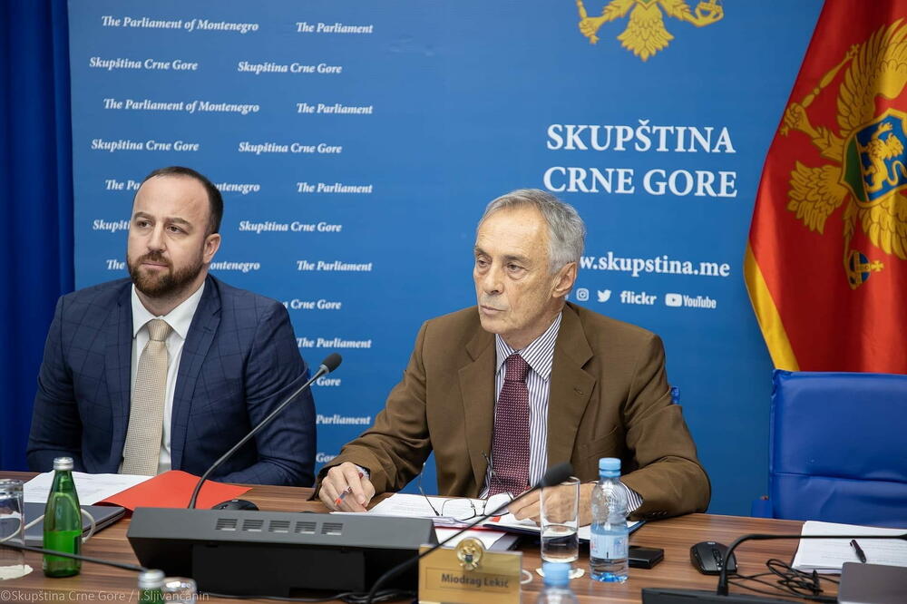 Traženo saslušanje ministara odbrane, vanjskih poslova i ekonomskog razvoja: Nikolić i Lekić na sjednici Odbora, Foto: Skupština Crne Gore