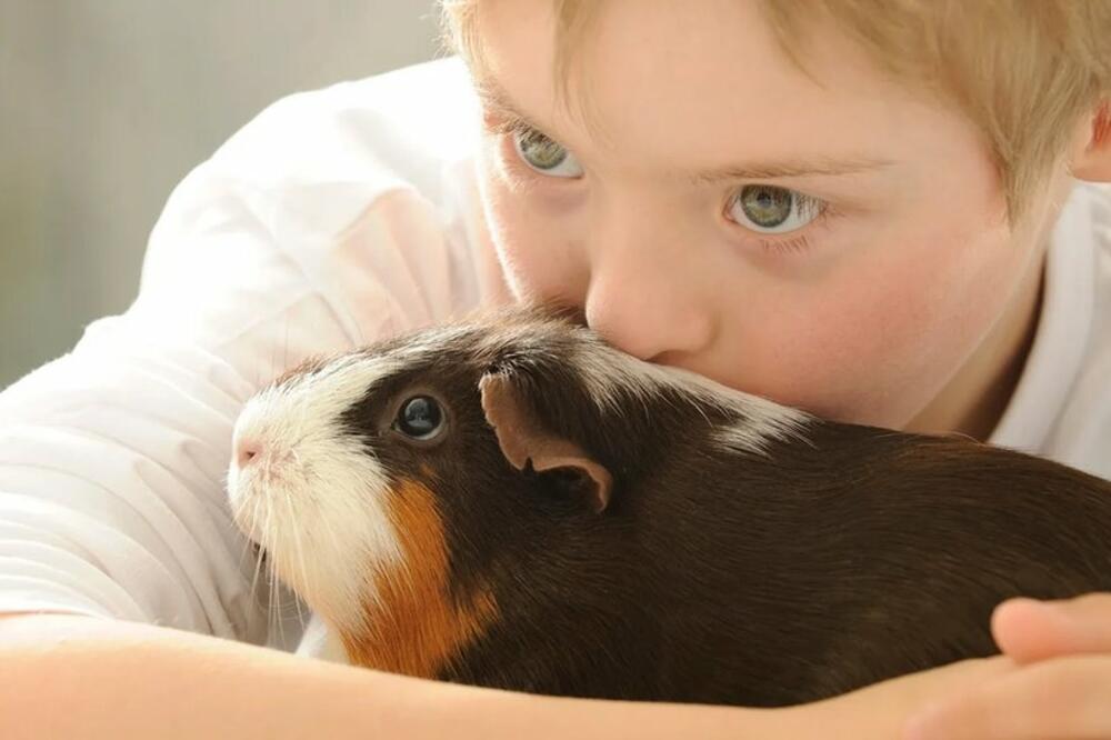 Ilustracija, Foto: Getty Images