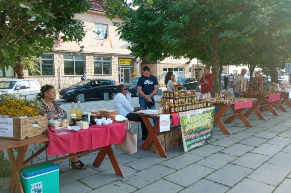 Foto: Dragana Šćepanović