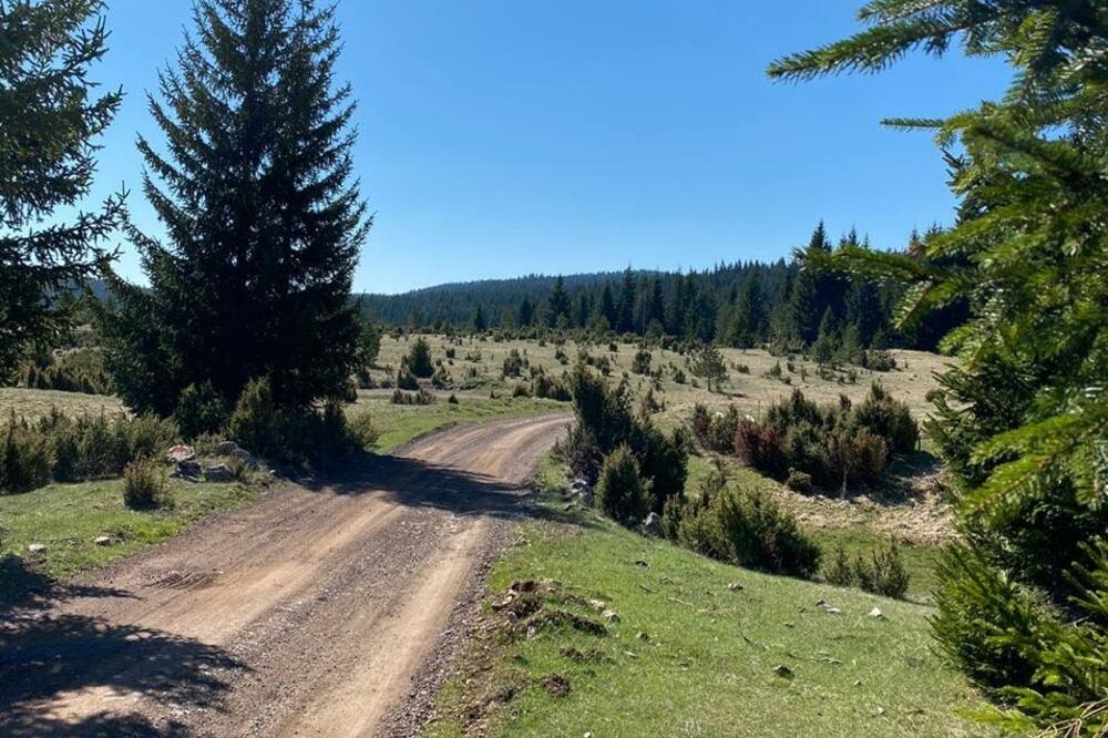 ut ka Bobovu, Foto: Opština Pljevlja