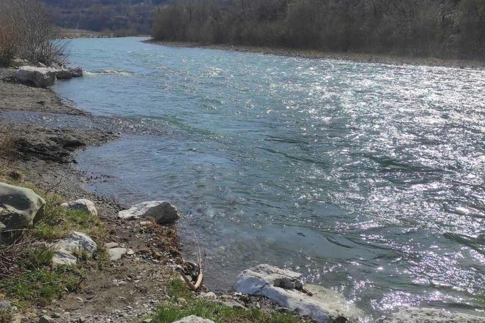 Taru praktično niko ne štiti, Foto: Dragana Šćepanović