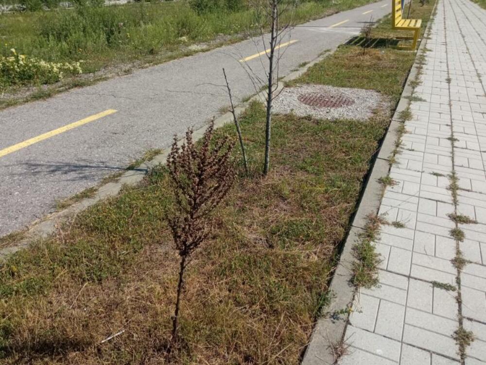 <p>Djelimično je uništeno i jedno od tri igrališta za djecu. Ljuljaška je polomljena, a na ostatku mobilijara nedostaju djelovi, pa je zbog toga i nebezbjedno</p>