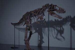 Kostur gorgosaurusa mogao bi biti prodat za osam miliona dolara