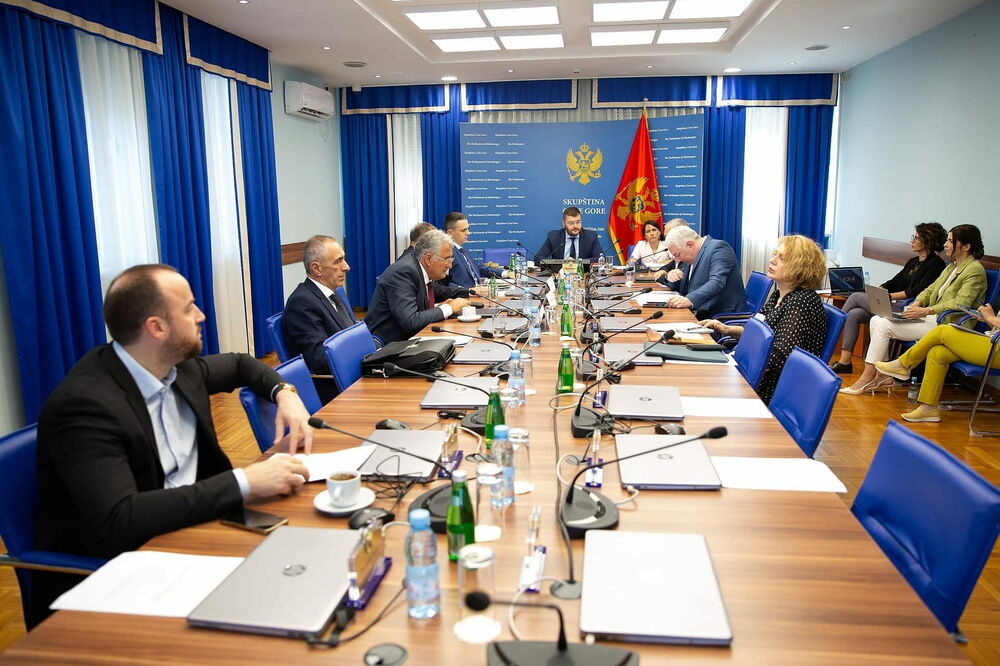 Sa sjednice Odbora, Foto: Skupstina.me