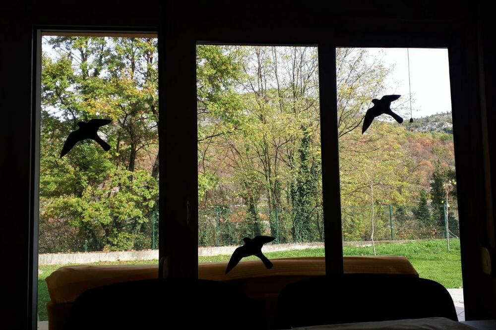 Naljepnice siluete ptica, Foto: CZIP