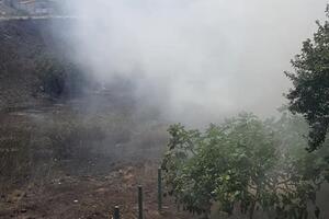 Ugašen požar na Ibričevini: Gorjelo nisko rastinje, vatra...