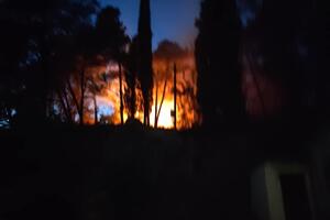 Požar na Gorici lokalizovan, dvije osobe viđene kako podmeću požar