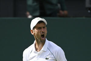 Đoković i tajni napitak, supruga Jelena: Nema ništa nepošteno,...