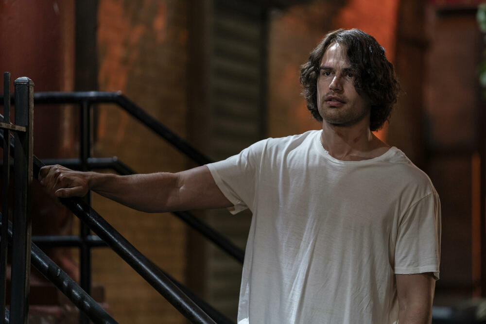 Vremeplovčeva žena