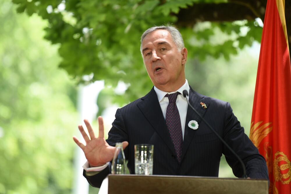 Foto: Boris Pejović