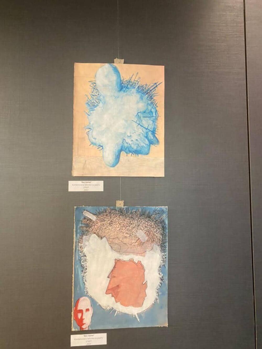 Radovi Ognjena Vujovića