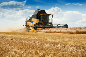 Ukrainian grain captured, and the new harvest begins