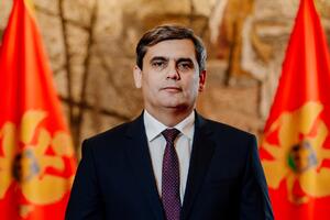 Ibrahimović: U 13. julu temelji moderne i demokratske Crne Gore