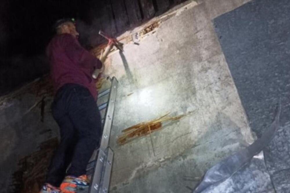 Detalj sa terena, Foto: SZS Kolašin