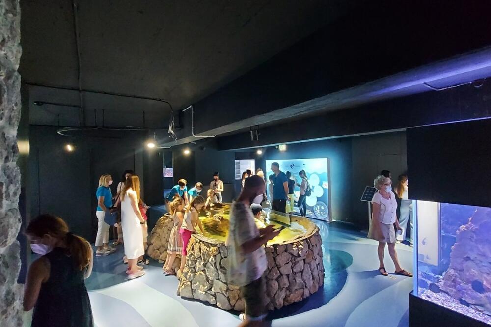 Akvarijum "Boka", Foto: Institut za bilogiju mora