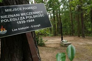 Pepeo 8.000 nacističkih žrtava pronađen u masovnoj grobnici u...