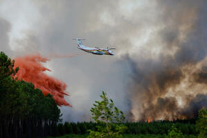 U požarima na jugu Francuske uništeno 10.000 hektara šume