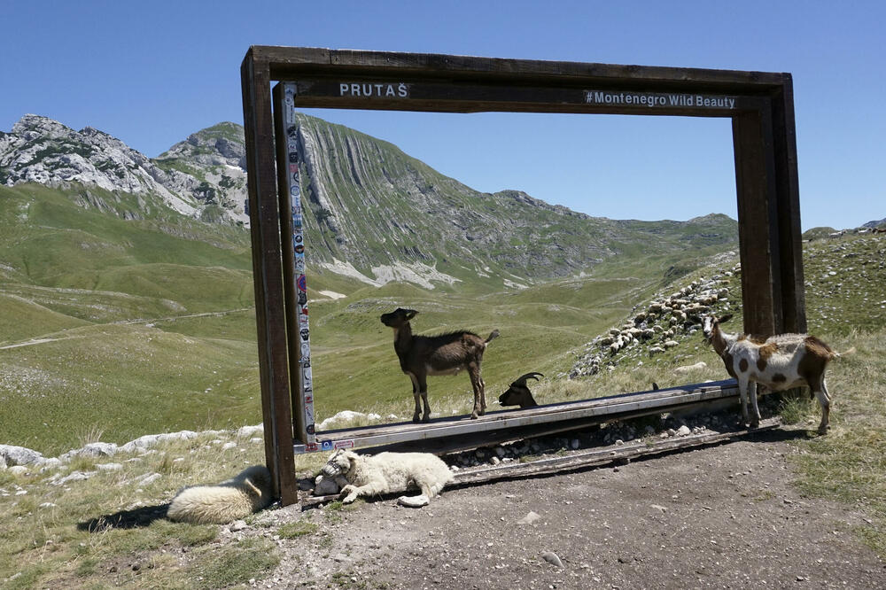 Foto: Beta/AP-Darko Vojinovic