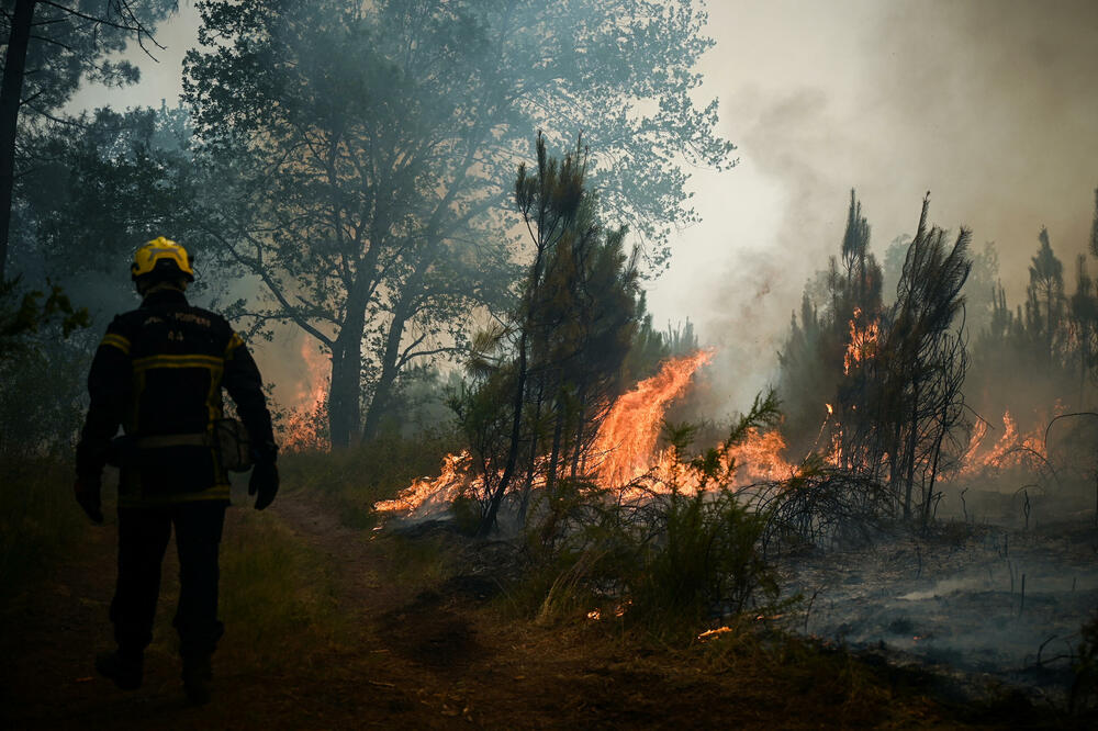Vatrogasci pokušavaju da ugase požar na jugozapadu Francuske, Foto: Rojters