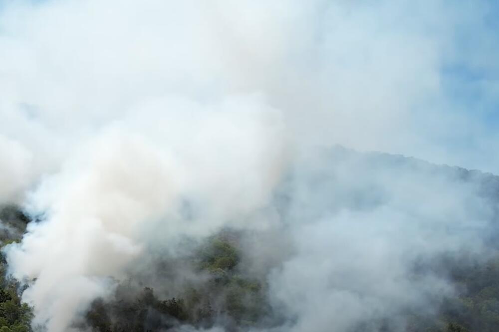 Požar iznad Zelenike, Foto: Screenshot/Youtube/RTHN