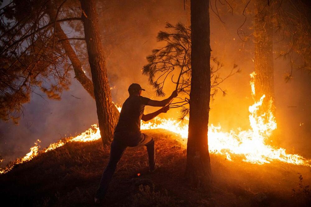 Čovjek pokušava da ugasi šumski požar granom, sjeverni Maroko, avgust 2021., Foto: Getty Images